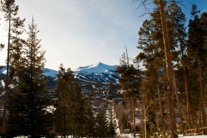 Colorado Cannabis Rush