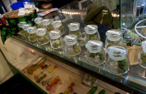 Colorado Cannabis Rush