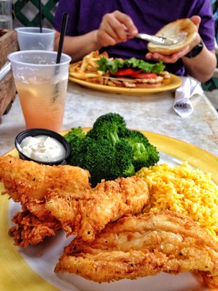 Tropical Greatness at Caroline's Cafe, Key West